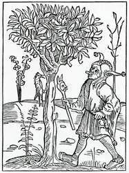 De trop parler ou bavarder, illustration de la traduction anglaise d